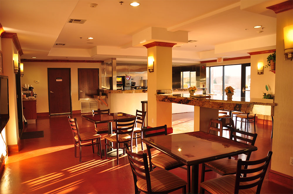 A Complete Guide for First-Time Visitors to Joshua Tree National Park & 29 Palms Hotels