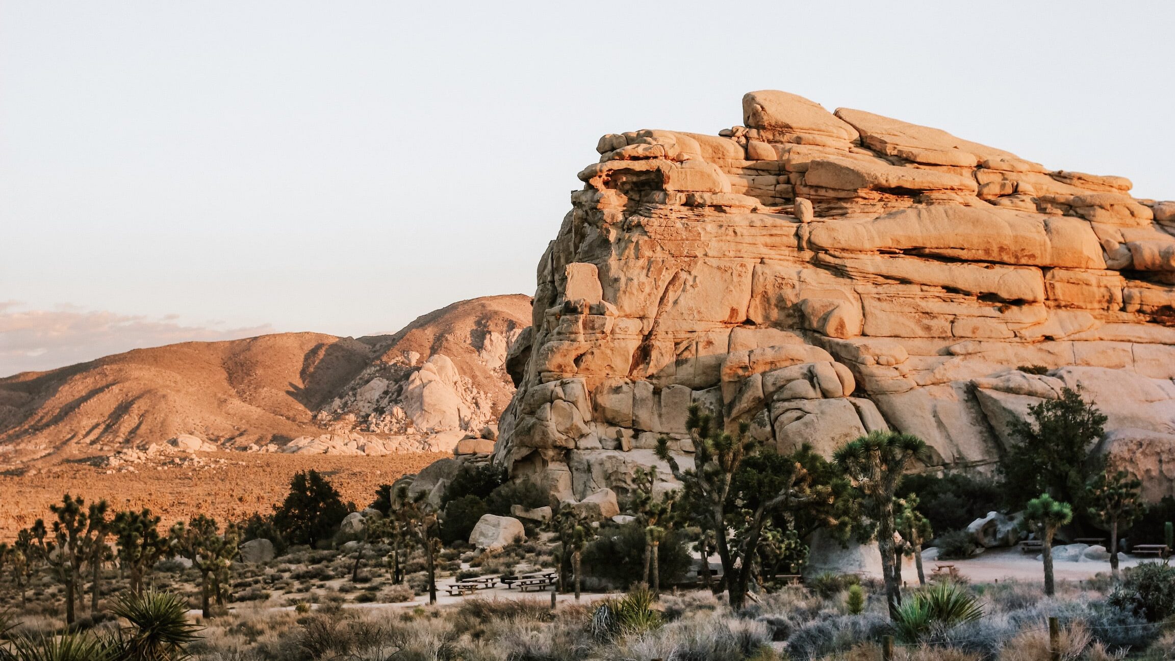 A Complete Guide for First-Time Visitors to Joshua Tree National Park & 29 Palms Hotels
